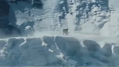 电影<绝命海拔>中文制作特辑之导演专访