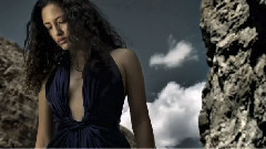 Dj Project - Нежный зверь (Aelyn Vocal)