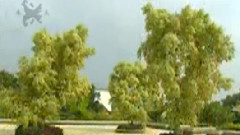 民乐群星,音乐短片 - 赶牲灵 笙独奏