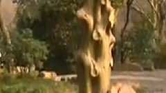 民乐群星 - 关山月 古琴与萧