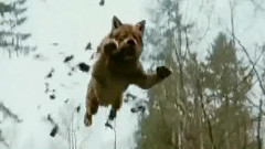 电影<暮光之城2:新月> 电视宣传片3