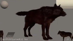 电影<暮光之城2:新月> 制作特辑之The Wolf Pack