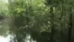 民乐群星 - 草原牧歌 合奏版