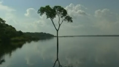 民乐群星,音乐短片 - 雕花的马鞍