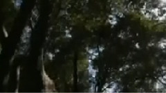 民乐群星 - 灵魂的故乡 合奏版