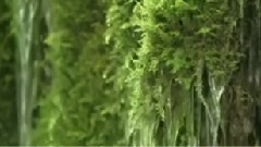 民乐群星 - 向往神鹰 合奏版