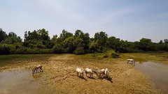 意大利弗留利-威尼斯朱利亚大区旖旎风光 航拍