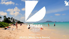 Robosonic - WURD (Want More Remix)