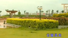 民乐群星 - 紫竹调 合奏合奏