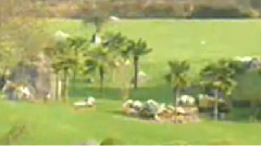 民乐群星 - 情网 民乐合奏