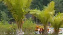 民乐群星 - 同一首歌 民乐合奏