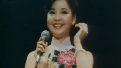 邓丽君 - 小城故事