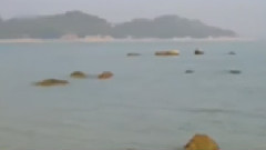 民乐群星 - 闹元宵 古筝版