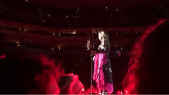 Madonna - Rebel Heart(巡回演唱会饭拍版)