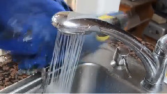 Попугайнелюбит на себе экономить