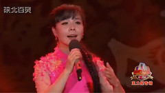 王二妮 - 老祖先留下个人爱人