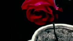 上榜单曲 Farewell