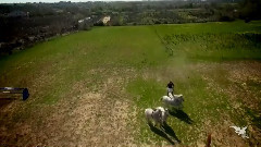 Прекрасный Лоренцо