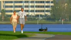 春江花月夜 古筝版