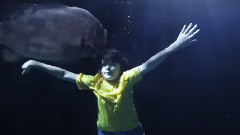 In The Arms Of Morpheus (Remix)