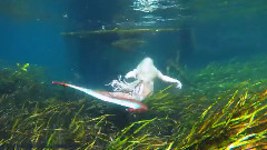 Life As A Mermaid Underwater Extended Footage