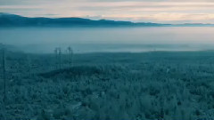 Zabiorę Nas (Basto remix)