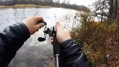 GoPro