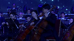 宋冬野 - 董小姐