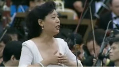 关牧村 - 游子吟