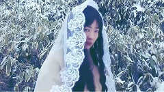 陈粒 - 易燃易爆炸