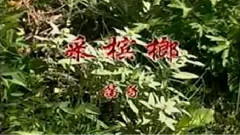 民乐群星 - 采槟榔 笛子版