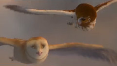 Flight Of The Silverbird