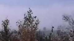 民乐群星 - 水乡船歌 笛子版