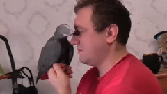 Добрый,как сок Добрый