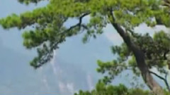 民乐群星,音乐短片 - 远方的思念