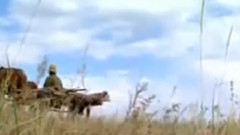 民乐群星 - 在希望的田野上 笛子版