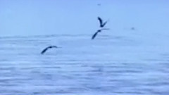 民乐群星 - 竹楼情歌 笛子版