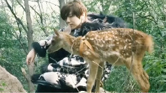 鹿晗 - 可念不可说之三世爱