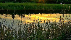 ЛЕТНИЙ ВЕЧЕР фильм и музыка Михаила Киселёва