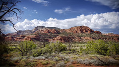 Landscape And Cityscape