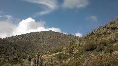 High Valley By Alexandro Querevalu & Quillapas