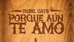 Porque Aun Te Amo(Pseudo Video)