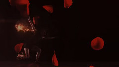 卢卡斯塔诺斯火与玫瑰