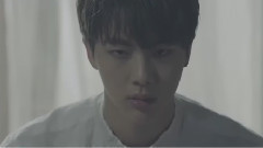 花样年华系列剧情向