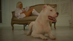 Я лечу за тобой