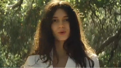 Beaû - Animal Kingdom