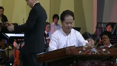 民乐群星 - 乡村骑士(扬琴乐队与管弦乐队)