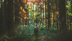 Galantis - Runaway (U & I) (Speaker of the House Remix)