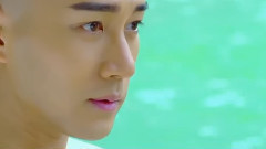 电视剧<寂寞空庭春欲晚>之淡茶香