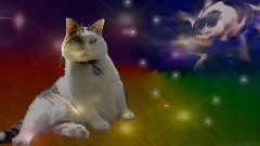 A-Nova Returns ticklin your sweet tooth! Sir Snowy